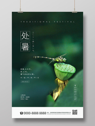 绿色简约荷叶蜻蜓二十四节气处暑海报